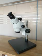 stereo microscope